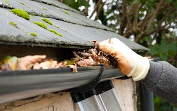 gutter cleaning Nethanfoot, South Lanarkshire