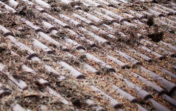 Nethanfoot roof cleaning companies