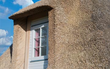 Nethanfoot thatch roof disadvantages